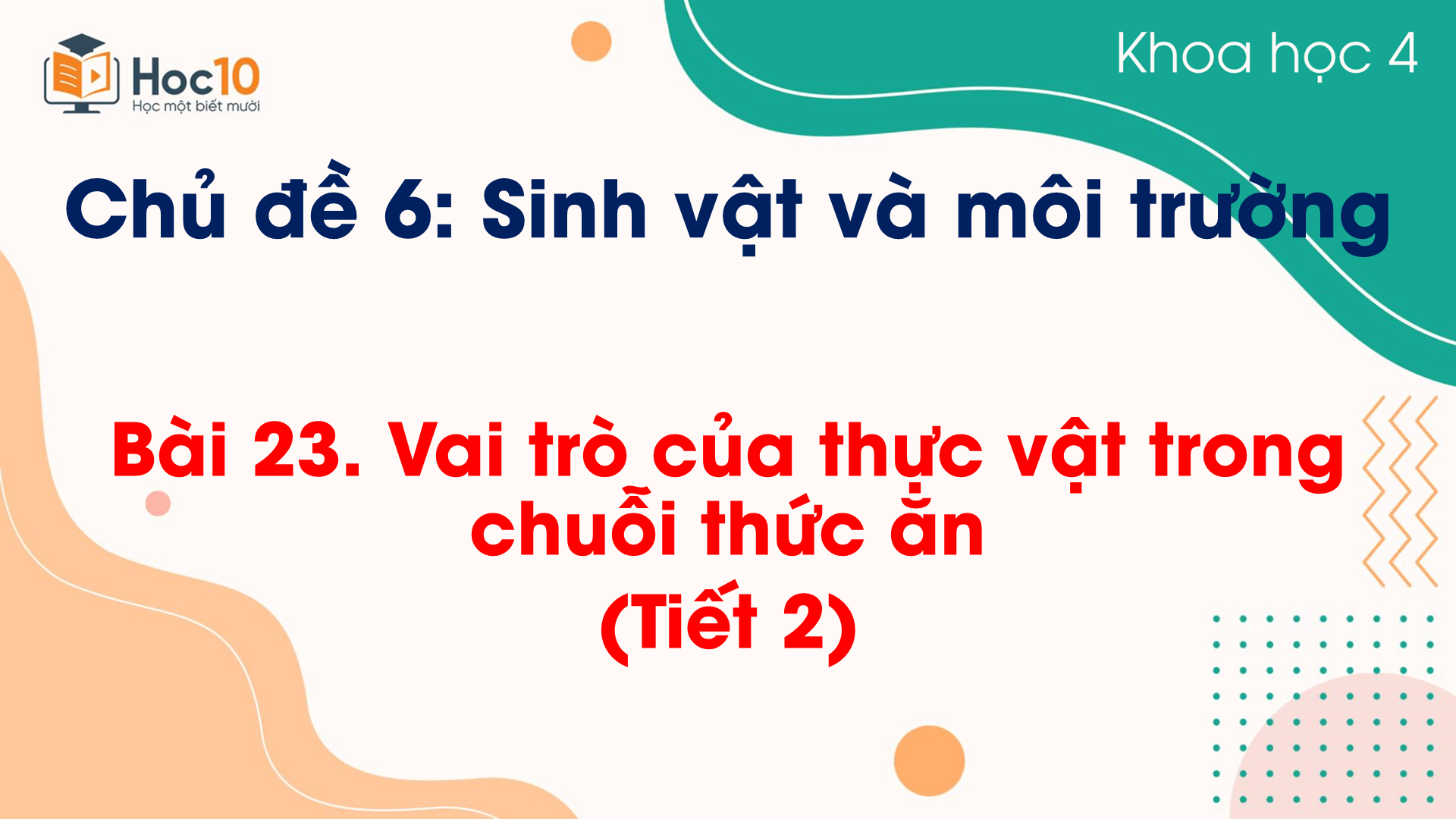Chủ đề 6 - Bài 23 Vai trò của thực vật trong chuỗi thức ăn (T2)